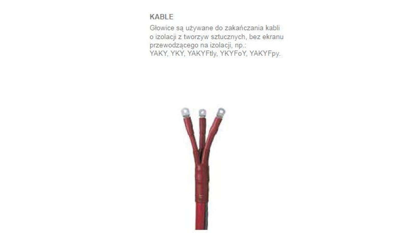 Głowica wnętrzowa bez końcówek EPKT-2053 - TE Raychem - na nap. 6 kV (przemysł) kabel nieekranowany 3-żyły tworzywo
