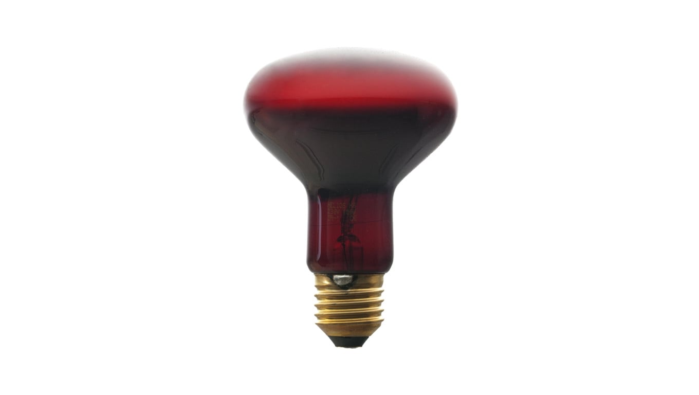 Promiennik podczerwieni E27 100W R80RB do terrarium PRO-1465