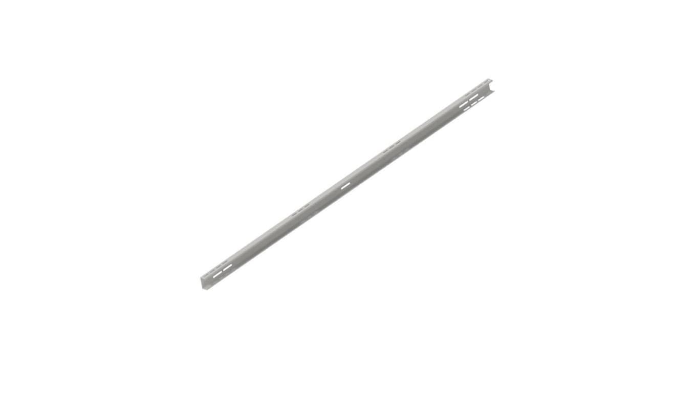 Rygiel 2 pion C100x50x12x2-3600 P151C36