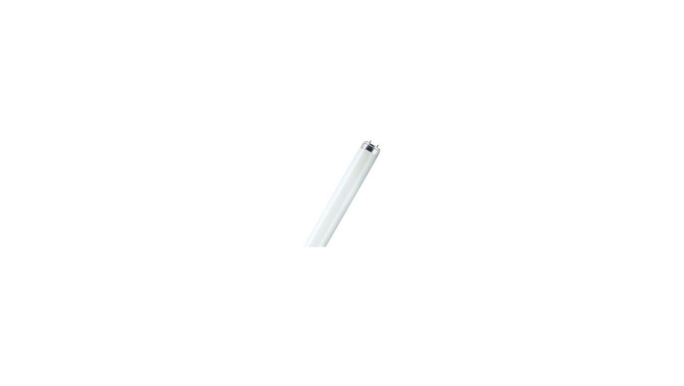 ŚWIETLÓWKA 36W/865 G13 T8 6500K 3250LM 20000h 120CM / 25 szt/