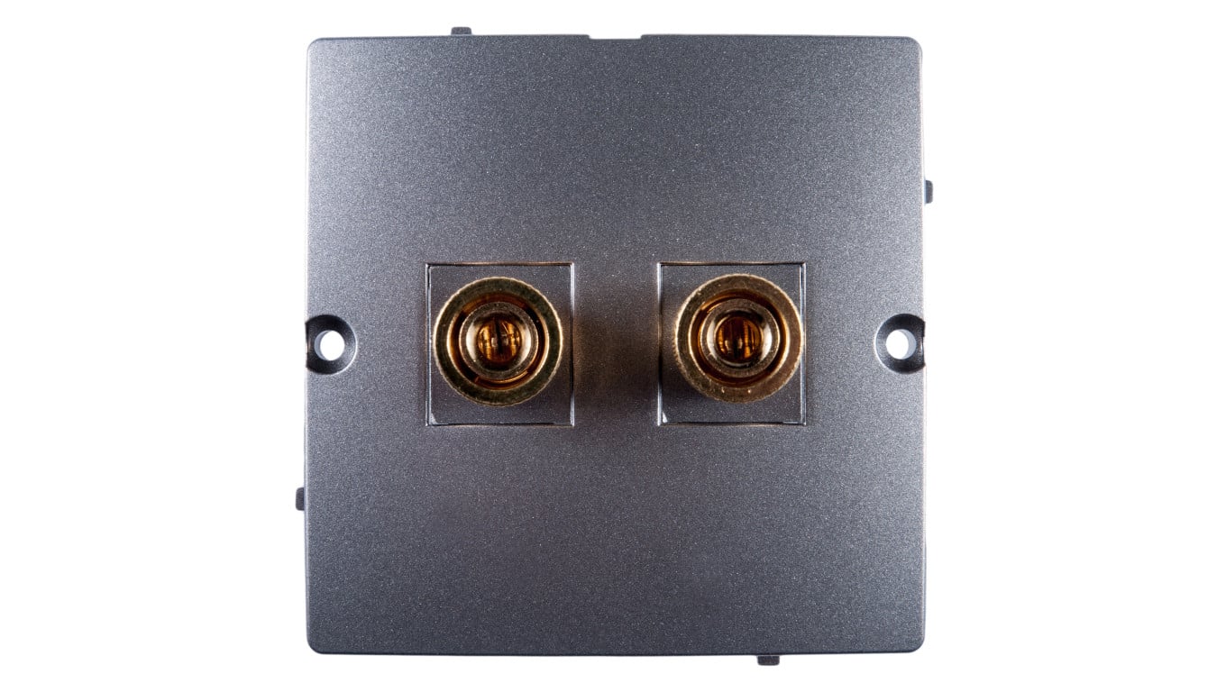 Simon Basic Gniazdo głośnikowe do jednej kolumny stal inox BMGL2.02/21
