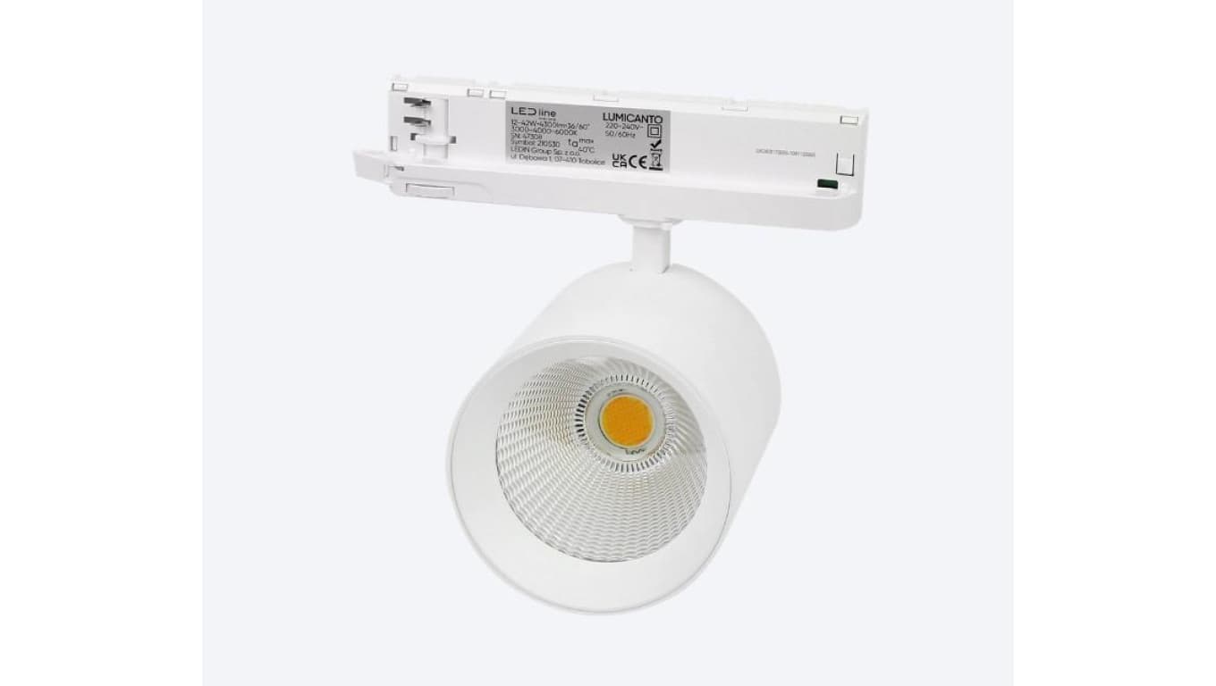 Reflektor na szynę 3F Track light LUMICANTO 12-42W CCT 3000K 4000K 6000K 36/60 biały 5 lat gwar.